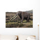 Anancus Arvernensis Proboscidea Pleistocene Wall Decal