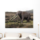 Anancus Arvernensis Proboscidea Pleistocene Wall Decal