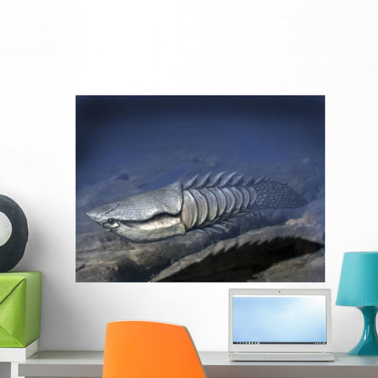 Anglaspis Is Heterostracan from Wall Decal