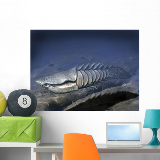 Anglaspis Is Heterostracan from Wall Decal