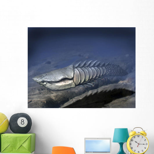 Anglaspis Is Heterostracan from Wall Decal