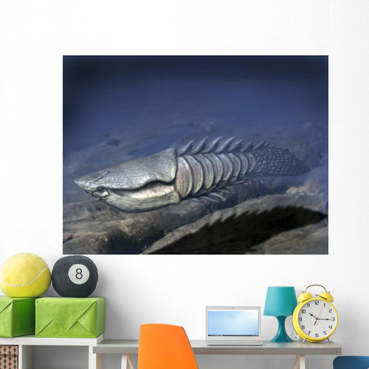 Anglaspis Is Heterostracan from Wall Decal