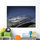 Anglaspis Is Heterostracan from Wall Decal