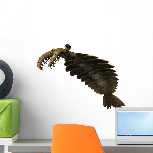 Anomalocaris Is Arthropod from Wall Decal