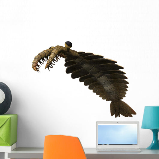 Anomalocaris Is Arthropod from Wall Decal