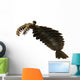 Anomalocaris Is Arthropod from Wall Decal