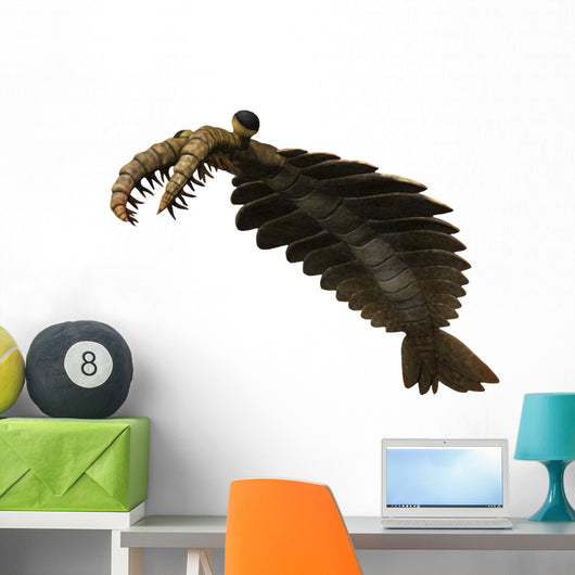 Anomalocaris Is Arthropod from Wall Decal