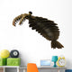 Anomalocaris Is Arthropod from Wall Decal