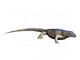 Archaeothyris Is Synapsid from Wall Decal