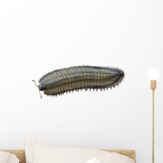 Arthropleura Is Extinct Millipede Wall Decal