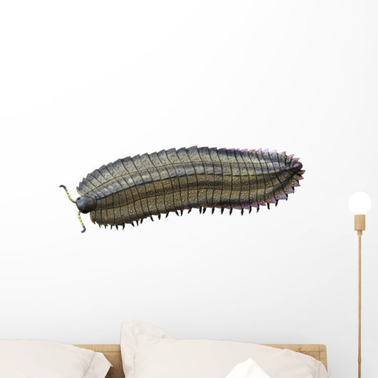 Arthropleura Is Extinct Millipede Wall Decal