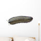 Arthropleura Is Extinct Millipede Wall Decal