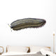 Arthropleura Is Extinct Millipede Wall Decal