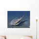 Bothriolepis Is Extinct Placoderm Wall Decal