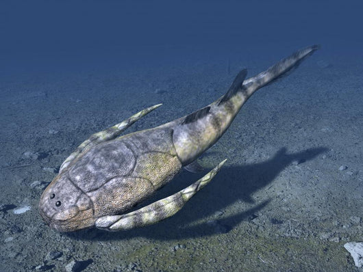 Bothriolepis Is Extinct Placoderm Wall Decal