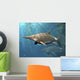Brachypterygius Is Extinct Ichthyosaur Wall Decal