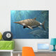 Brachypterygius Is Extinct Ichthyosaur Wall Decal