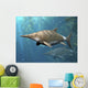 Brachypterygius Is Extinct Ichthyosaur Wall Decal