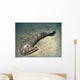 Cephalaspis Lyelli Jawless Fish Wall Decal
