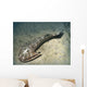 Cephalaspis Lyelli Jawless Fish Wall Decal