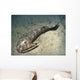Cephalaspis Lyelli Jawless Fish Wall Decal
