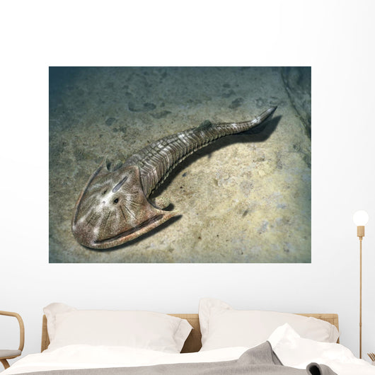 Cephalaspis Lyelli Jawless Fish Wall Decal