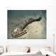 Cephalaspis Lyelli Jawless Fish Wall Decal
