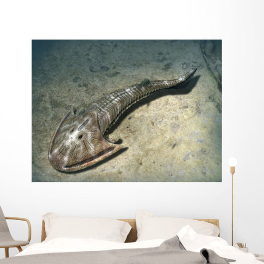 Cephalaspis Lyelli Jawless Fish Wall Decal