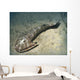 Cephalaspis Lyelli Jawless Fish Wall Decal