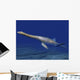 Cryptoclidus Is Extinct Plesiosaur Wall Decal