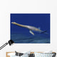 Cryptoclidus Is Extinct Plesiosaur Wall Decal