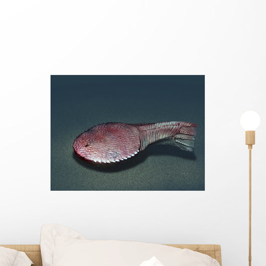 Ctenaspis Is Jawless Fish Wall Decal