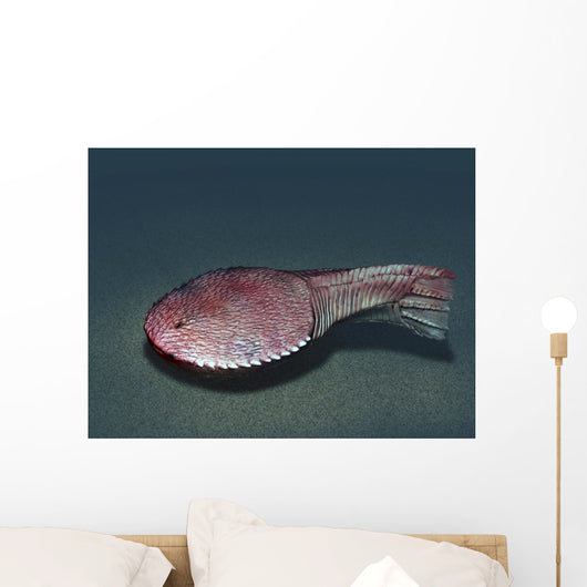 Ctenaspis Is Jawless Fish Wall Decal