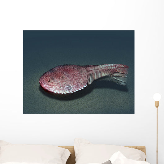 Ctenaspis Is Jawless Fish Wall Decal