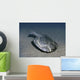 Drepanaspis Is Jawless Fish Wall Decal