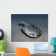 Drepanaspis Is Jawless Fish Wall Decal