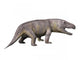 Erythrosuchus Is Reptile from Wall Decal