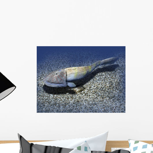 Hemicyclaspis Is Ostracoderm from Wall Decal