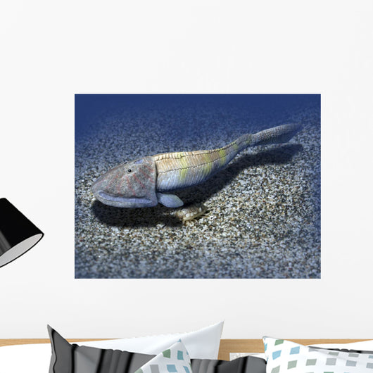 Hemicyclaspis Is Ostracoderm from Wall Decal