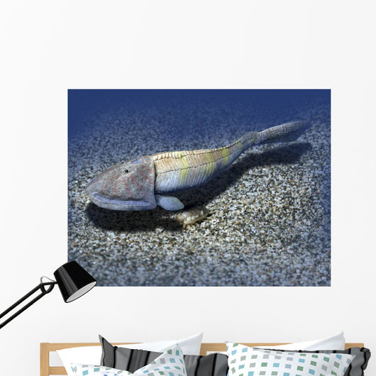 Hemicyclaspis Is Ostracoderm from Wall Decal