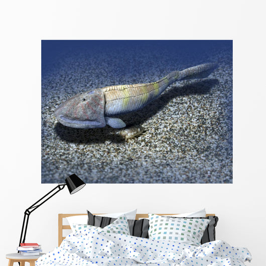 Hemicyclaspis Is Ostracoderm from Wall Decal