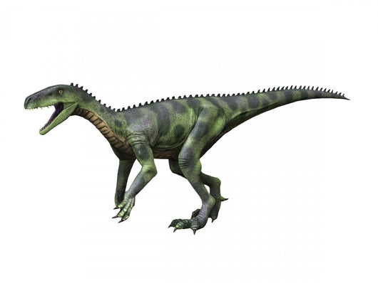 Herrerasaurus Is Theropod Dinosaur Wall Decal