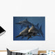 Group Ichthyosaurus Aquatic Reptiles Wall Decal
