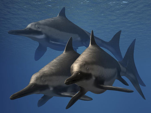 Group Ichthyosaurus Aquatic Reptiles Wall Decal