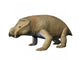 Kannemeyeria Is Large Dicynodont Wall Decal