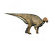 Koshisaurus Is Ornithopod from Wall Decal