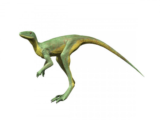 Lagerpeton Is Extinct Dinosauromorph Wall Decal