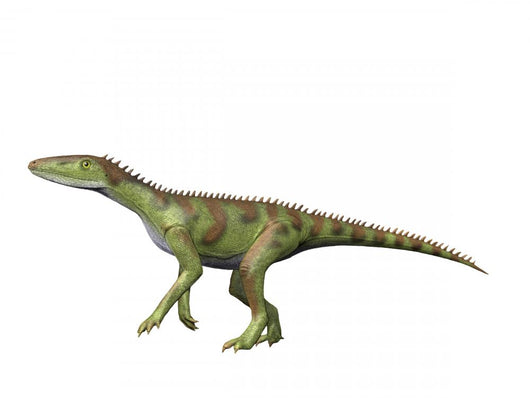 Lewisuchus Is Extinct Dinosauriformes Wall Decal