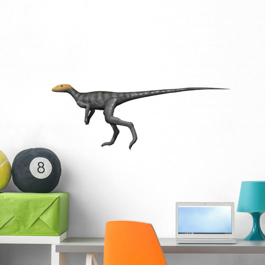 Marasuchus Is Extinct Dinosaur Wall Decal