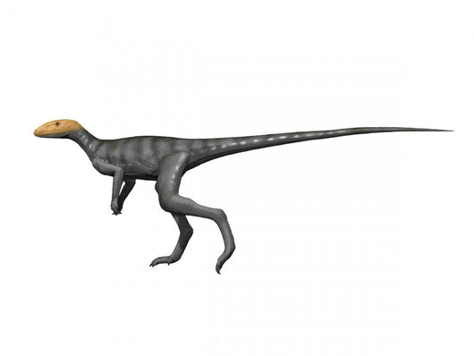 Marasuchus Is Extinct Dinosaur Wall Decal